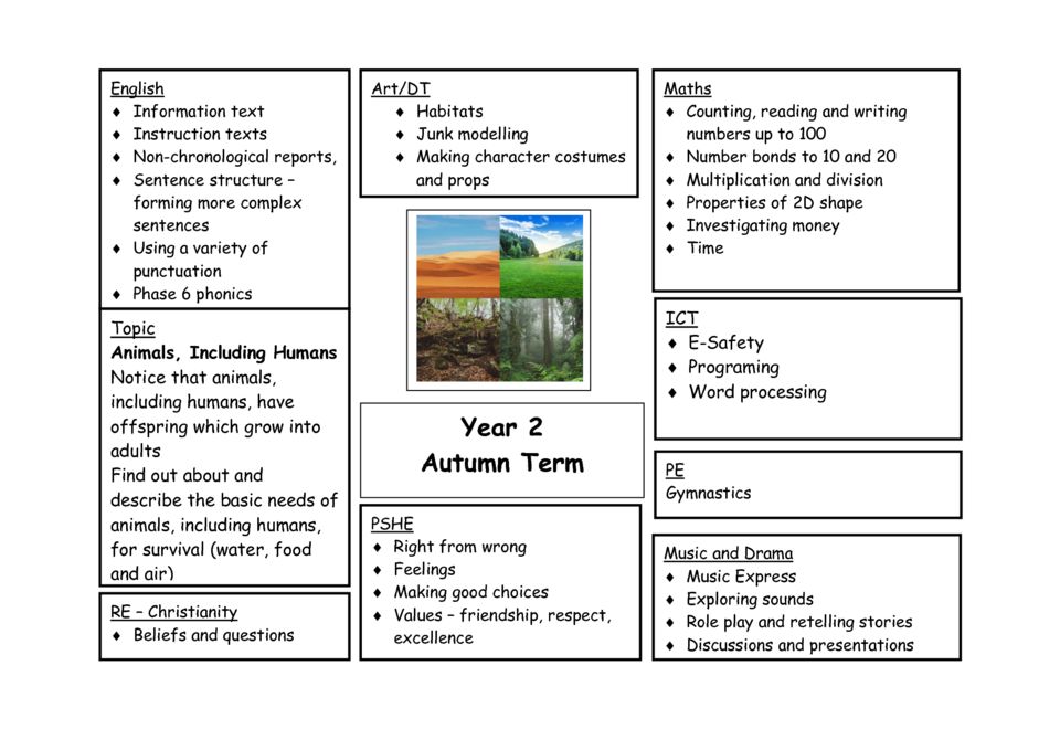 thumbnail of Y2 Autumn 2 Curriculum map