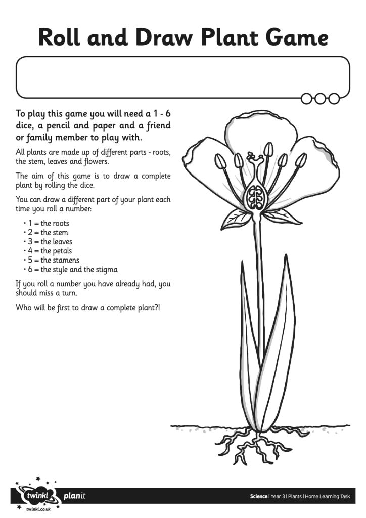 thumbnail of Activity Sheet Roll and Draw Plant Game